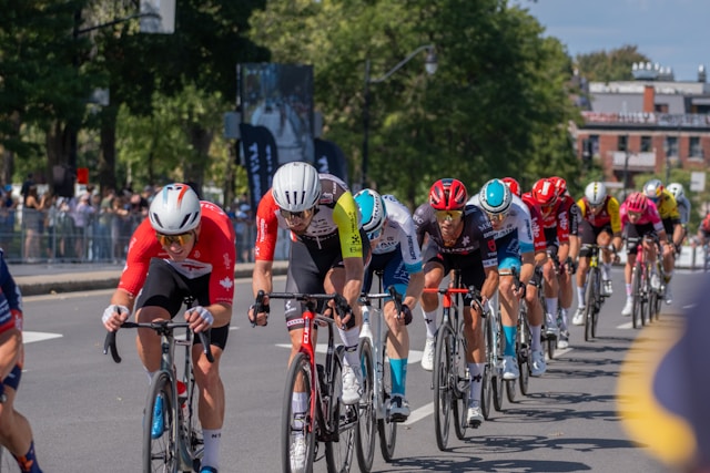 Marlondrestia imagem 1