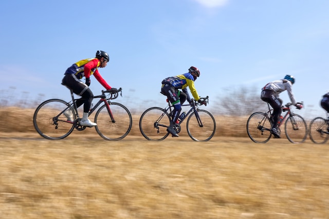 Marlondrestia imagem 7